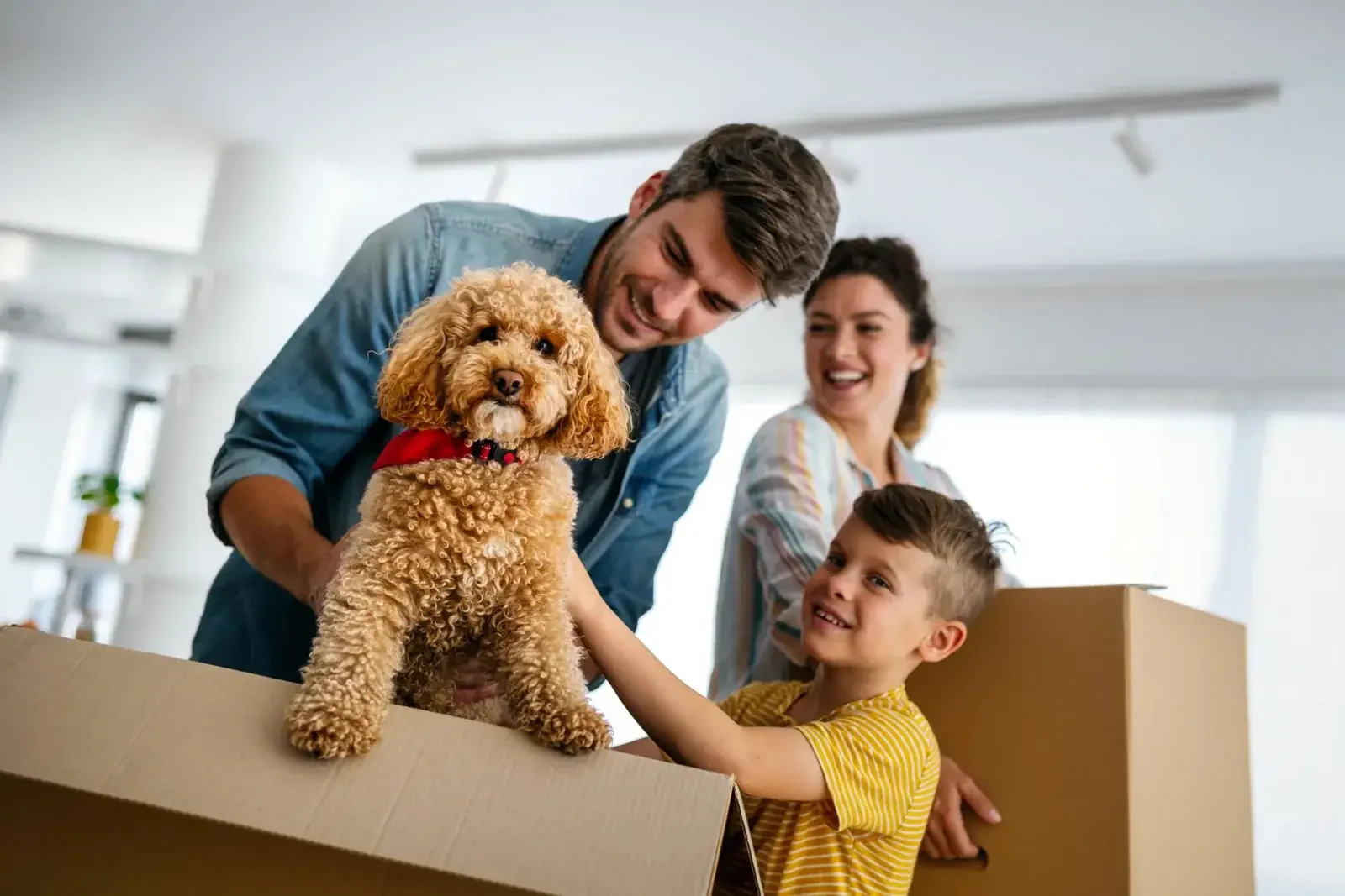 A family settling into a new home